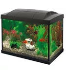 SuperFish Start 20 Aquarium Kit 