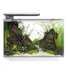 SuperFish Quadro 70 Pro - Design-Aquarium 