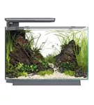 SuperFish Quadro 70 Pro - Design-Aquarium 