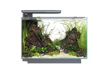 SuperFish Quadro 70 Pro - Design-Aquarium 