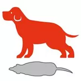 Hundegewicht_NL_PB_ICONS5.jpg