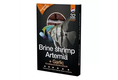 Dutch Select Artemia + Knoblauch 100g Blister