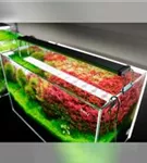 Chihiros B-Serie LED Aquariumleuchte inkl. Bluetooth-Steuerung